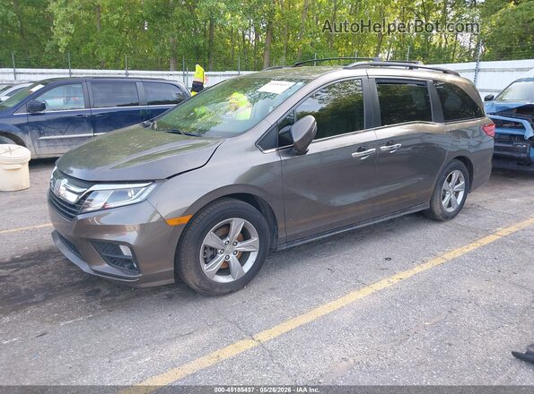 5FNRL6H75JB095340 2018 HONDA ODYSSEY Brown Առջևի ձախ երեք քառորդ տեսարան