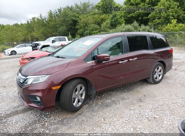 5FNRL6H75KB111358 2019 HONDA ODYSSEY Maroon Przód lewy