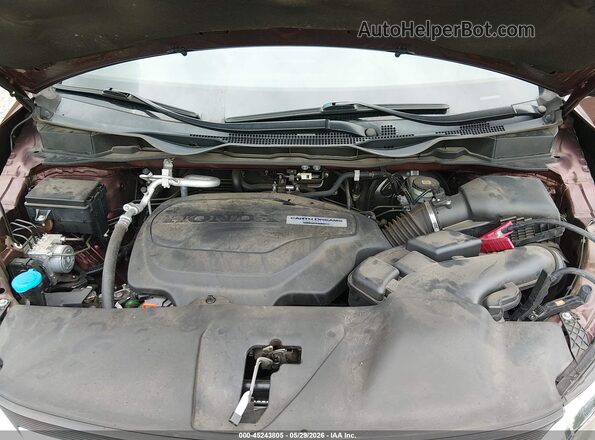 5FNRL6H75KB111358 2019 HONDA ODYSSEY Maroon Widok z tyłu