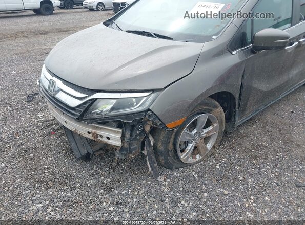 5FNRL6H75KB137149 2019 HONDA ODYSSEY Brown 