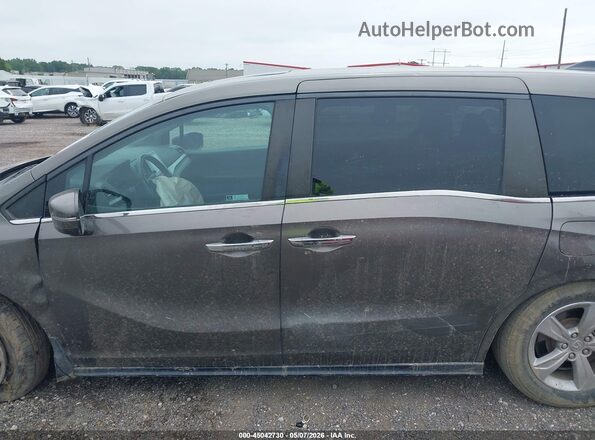 5FNRL6H75KB137149 2019 HONDA ODYSSEY Brown 