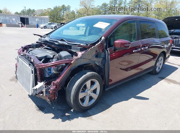 5FNRL6H75LB006448 2020 HONDA ODYSSEY Burgundy Front left