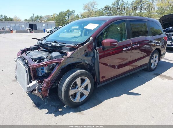 5FNRL6H75LB006448 2020 HONDA ODYSSEY Burgundy Front view