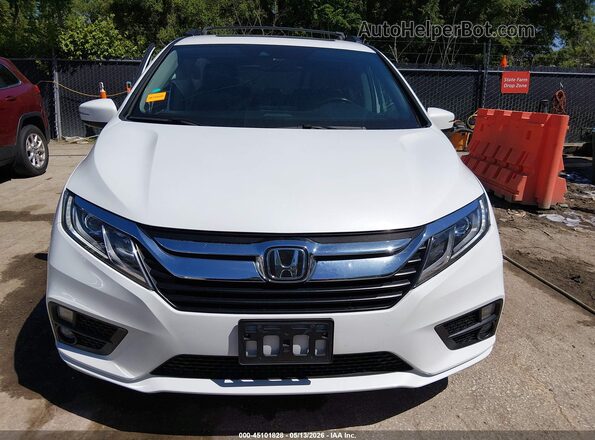 5FNRL6H76LB064309 2020 HONDA ODYSSEY White Вид задньої частини салону