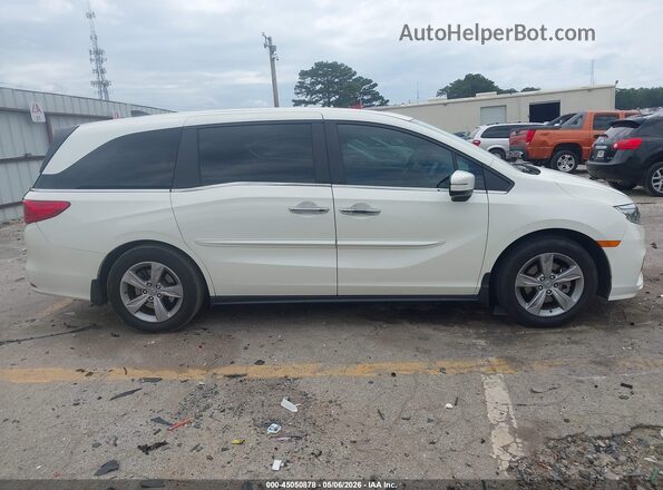 5FNRL6H77KB098290 2019 HONDA ODYSSEY White უკანა სალონის ხედი