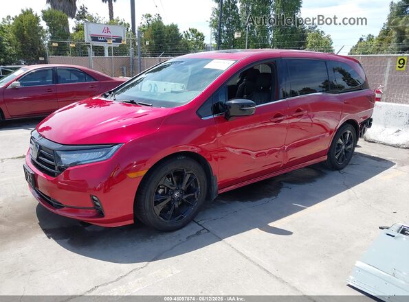 5FNRL6H78PB072577 2023 HONDA ODYSSEY Red Przód lewy