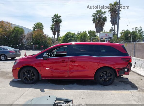 5FNRL6H78PB072577 2023 HONDA ODYSSEY Red 