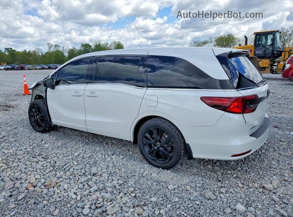 5FNRL6H79RB005456 2024 HONDA ODYSSEY White 