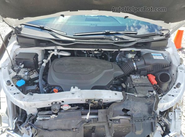 5FNRL6H79RB005456 2024 HONDA ODYSSEY White 