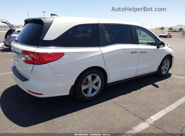 5FNRL6H7XJB041824 2018 HONDA ODYSSEY White უკანა მარჯვენა
