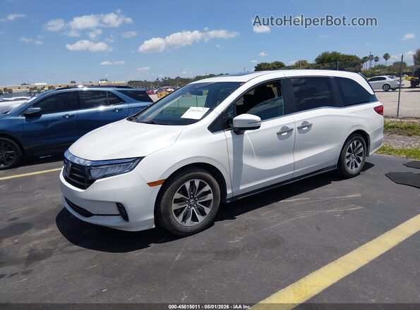 5FNRL6H7XMB043531 2021 HONDA ODYSSEY White Przód lewy