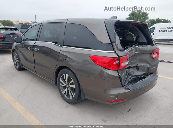 5FNRL6H85MB038813 2021 HONDA ODYSSEY Dark Brown უკანა მარცხენა