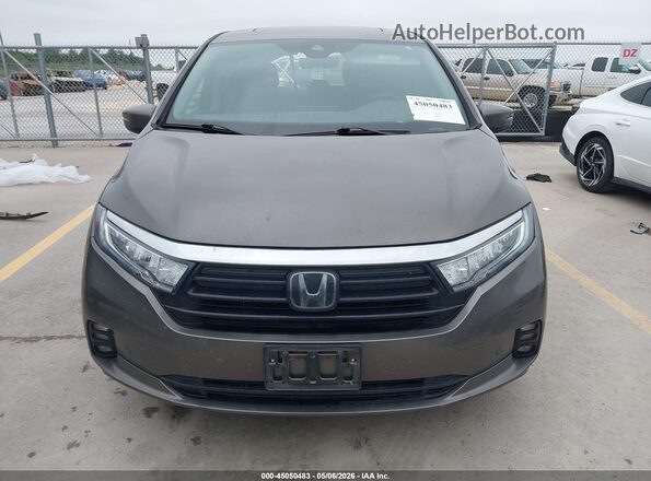 5FNRL6H85MB038813 2021 HONDA ODYSSEY Dark Brown უკანა სალონის ხედი