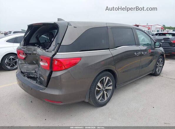 5FNRL6H85MB038813 2021 HONDA ODYSSEY Dark Brown უკანა მარჯვენა