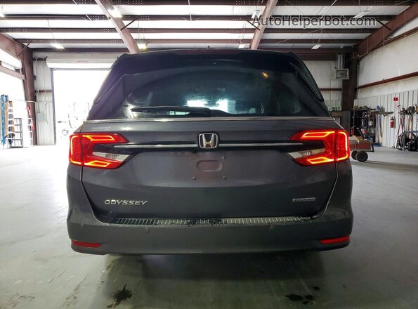 5FNRL6H86RB041162 2024 HONDA ODYSSEY Серый 