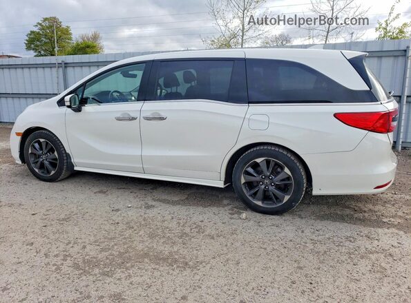 5FNRL6H87NB504713 2022 HONDA ODYSSEY White Задня ліва чверть