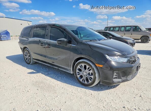 5FNRL6H87TB036494 2026 HONDA ODYSSEY Charcoal 