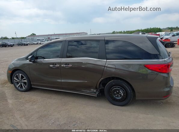 5FNRL6H88PB007981 2023 HONDA ODYSSEY Gray სალონის 360-გრადუსიანი ხედი