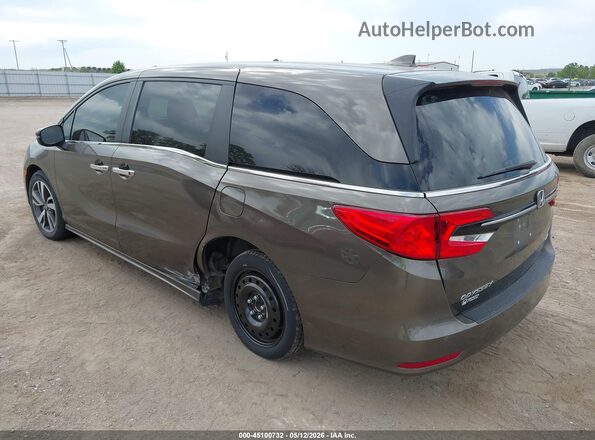 5FNRL6H88PB007981 2023 HONDA ODYSSEY Gray უკანა მარცხენა