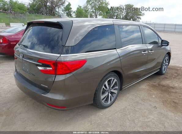 5FNRL6H88PB007981 2023 HONDA ODYSSEY Gray უკანა მარჯვენა