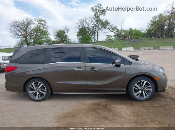 5FNRL6H88PB007981 2023 HONDA ODYSSEY Gray უკანა სალონის ხედი