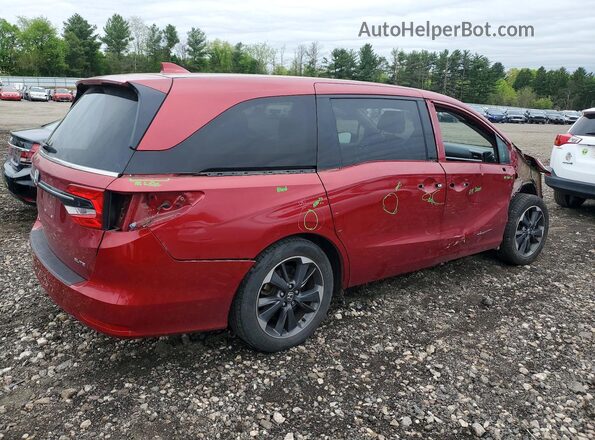 5FNRL6H91NB022778 2022 HONDA ODYSSEY Red Tył prawy