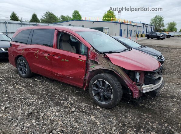 5FNRL6H91NB022778 2022 HONDA ODYSSEY Red Przód prawy