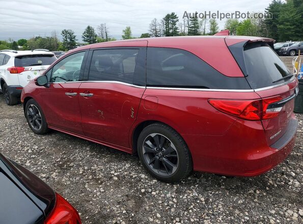 5FNRL6H91NB022778 2022 HONDA ODYSSEY Red Tył lewy