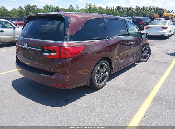 5FNRL6H95MB016304 2021 HONDA ODYSSEY Бордовый Задняя правая четверть