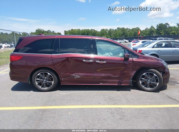 5FNRL6H95MB016304 2021 HONDA ODYSSEY Бордовый Вид задней части салона