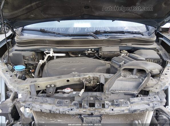 5FNYF5H23MB032260 2021 HONDA PILOT Синий Вид сзади