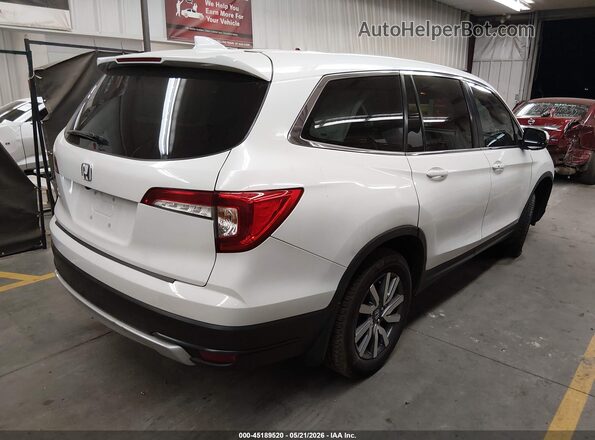 5FNYF5H50MB025678 2021 HONDA PILOT White Rear right