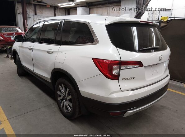 5FNYF5H50MB025678 2021 HONDA PILOT White Rear left