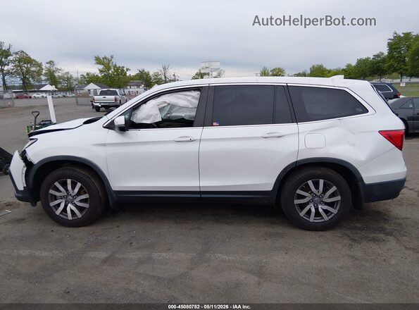 5FNYF5H58LB015303 2020 HONDA PILOT Белый Вид задней части салона