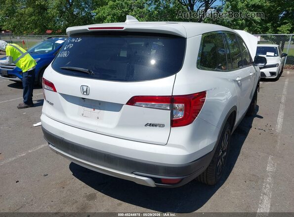 5FNYF6H38LB068880 2020 HONDA PILOT Белый Задняя правая четверть