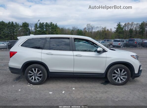 5FNYF6H55NB093109 2022 HONDA PILOT White Widok wnętrza z tyłu