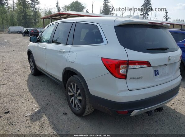 5FNYF6H57LB021647 2020 HONDA PILOT White უკანა მარცხენა
