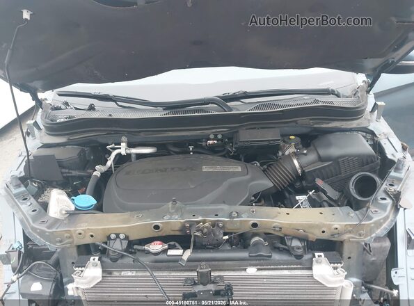5FNYF6H57MB004106 2021 HONDA PILOT Blue Вид ззаду