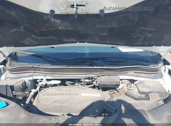 5FNYF6H59MB006746 2021 HONDA PILOT White Rear view