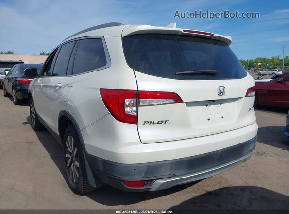 5FNYF6H79KB504539 2019 HONDA PILOT White Rear left