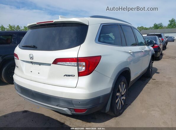 5FNYF6H79KB504539 2019 HONDA PILOT White Rear right