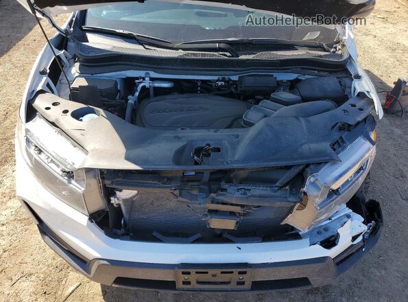 5FNYF8H02PB016037 2023 HONDA PASSPORT White Вид задньої частини салону