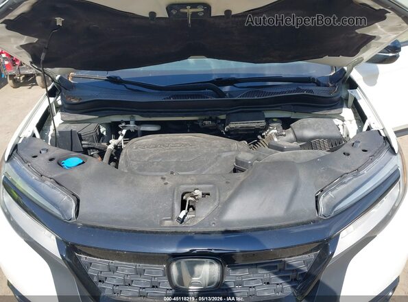 5FNYF8H05KB007891 2019 HONDA PASSPORT Белый Вид сзади