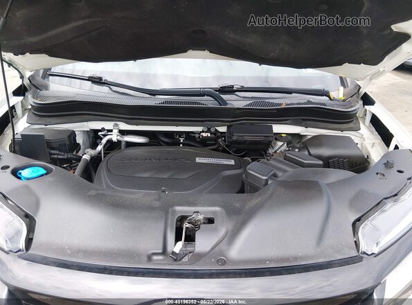 5FNYF8H06KB004806 2019 HONDA PASSPORT White Вид ззаду
