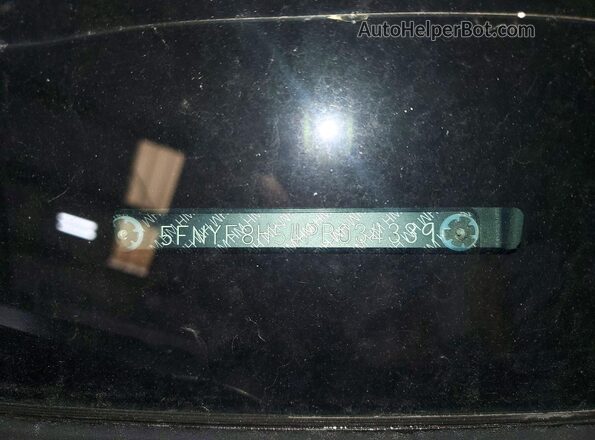 5FNYF8H54PB034339 2023 HONDA PASSPORT Серебряный Вид наклейки с VIN-кодом