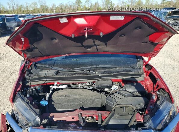 5FNYF8H57RB022916 2024 HONDA PASSPORT Burgundy 