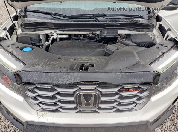 5FNYF8H68NB008574 2022 HONDA PASSPORT White 