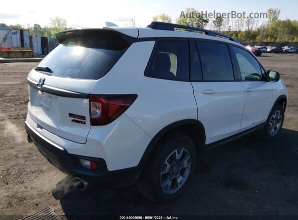 5FNYF8H68PB043098 2023 HONDA PASSPORT White 
