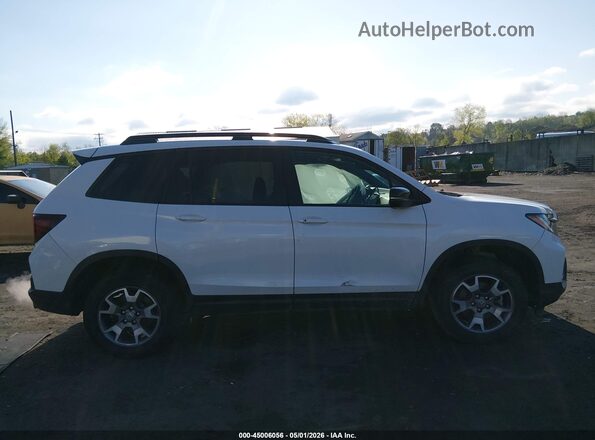 5FNYF8H68PB043098 2023 HONDA PASSPORT White 
