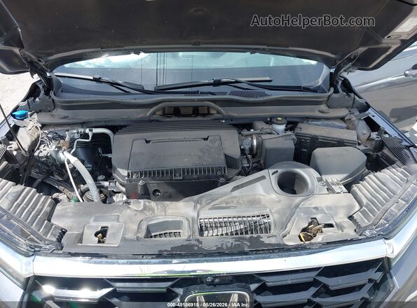 5FNYG1H86RB034666 2024 HONDA PILOT Gray Widok z tyłu